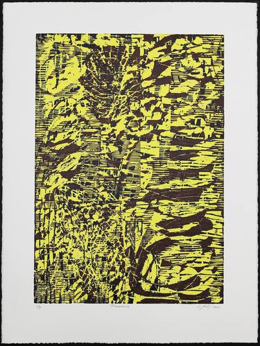 Original Expressionism Abstract Printmaking by Stefan Osnowski