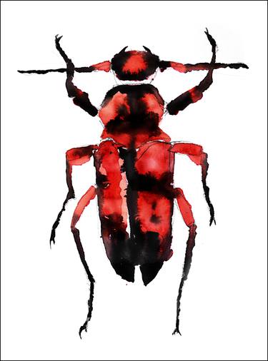 Red beetle - Limited Edition 1 of 5 thumb