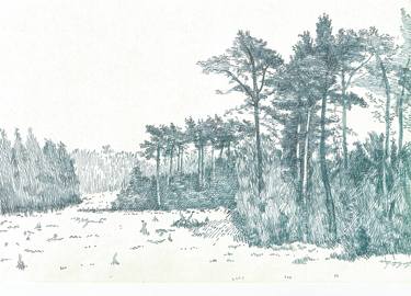 Print of Figurative Landscape Drawings by Piotr Szwagrzyk