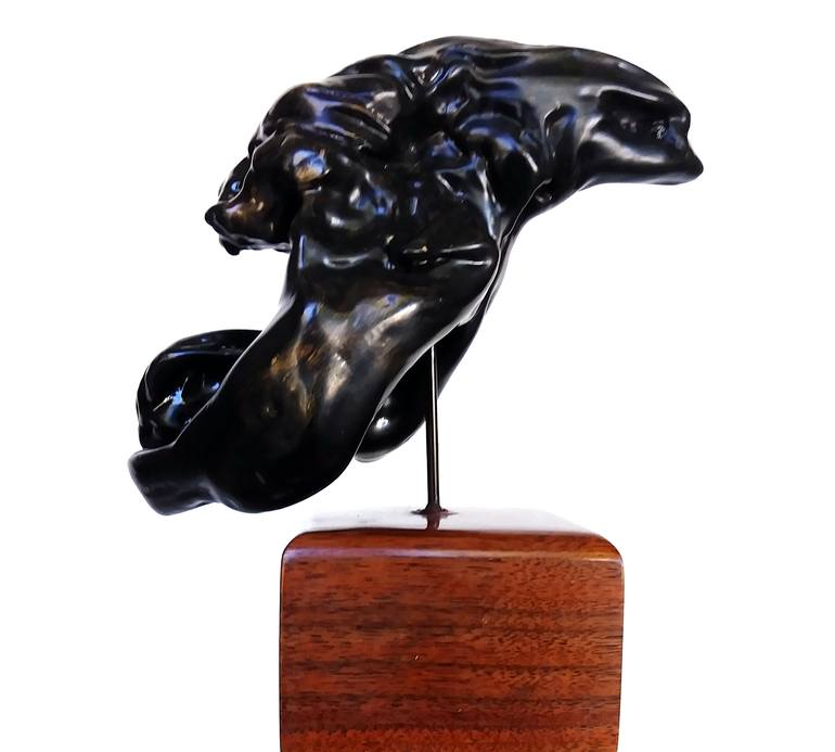 Original Modern Animal Sculpture by Tom Narwold