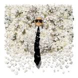 Karl Who - Limited Edition of 26 by Maggie Tookmanian