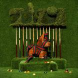 Poolshark - Limited Edition of 26 by Maggie Tookmanian