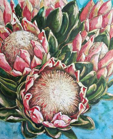 Pink Proteas thumb