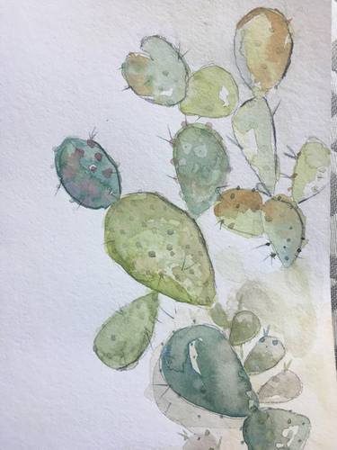 Original Botanic Paintings by Anne Kupillas