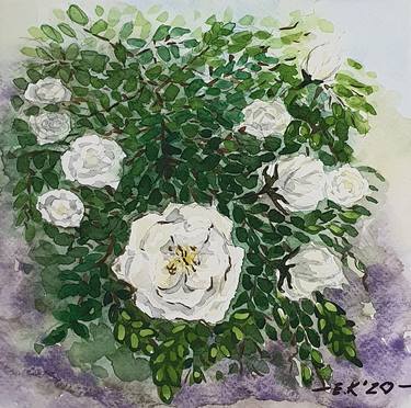 White roses thumb