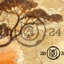 "AFRICAN SUNSHINE" fragment