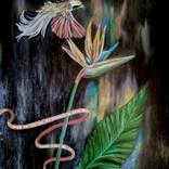 Paradise by Elena Prosperi