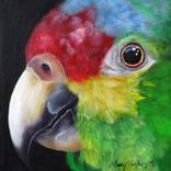 Red-Lored  Amazon Parrot Close-Up by Mary Hughes