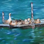 Nap Time Ducks on a Dock by Mary Hughes