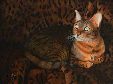 Original Cats Paintings by salvatore graci