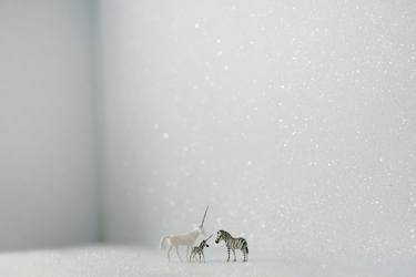 Print of Animal Photography by Lisa Swerling