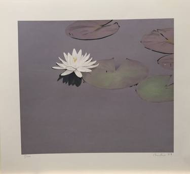 Water Lily (Limited Edition) [Price for Best Offer] thumb