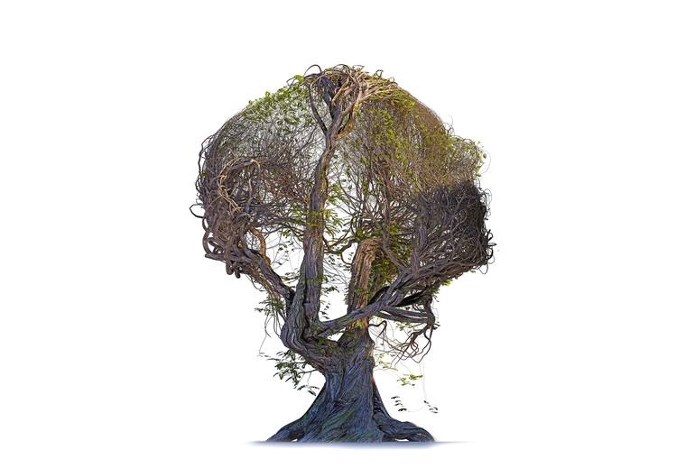 Original Tree Mixed Media by Krzysztof Plonka
