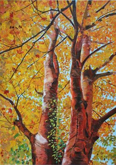 Original Realism Tree Paintings by Hans van de graaf
