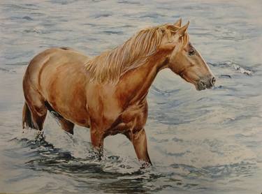 Horse in the river thumb