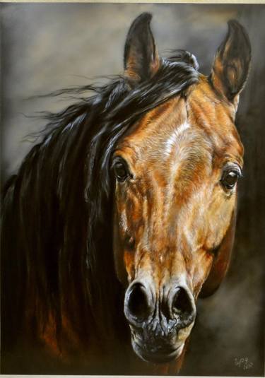 Portrait of an Arab horse thumb