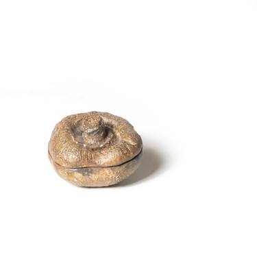 Overlooked Chestnut Mushroom thumb