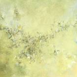 Incierto by Gabriela Serkin