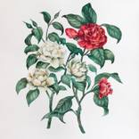 Christmas Flowers – Inspired by Home Alone (1990) by Frida Ostin