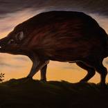 Boar – Inspired by The Grand Budapest Hotel (2014) by Frida Ostin