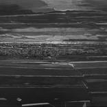 First Light, Black and white by Maxine Cameron