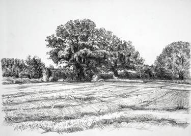 Print of Fine Art Landscape Drawings by Maxine Cameron
