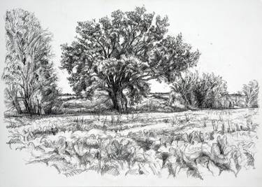Print of Expressionism Landscape Drawings by Maxine Cameron