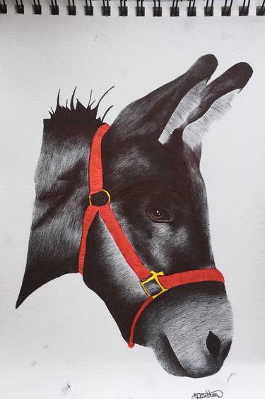 Print of Photorealism Animal Drawings by Emma Poulton