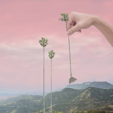 Planting Palms in Griffith Observatory L.A. - Limited Edition of 50 thumb