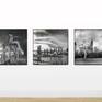 Acrylic ultraHD Metallic Print. Dibond 0.12″ Metallic ultraHD Photo Print Acrylic glass, glossy Aluminum ArtBox, Profile 1.25″ (black). Image dimensions: 25″ x 25″ (External dimensions: 25.5″ x 25.5″) 