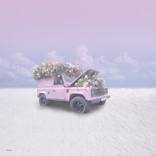 Collection Texas is the Obsession