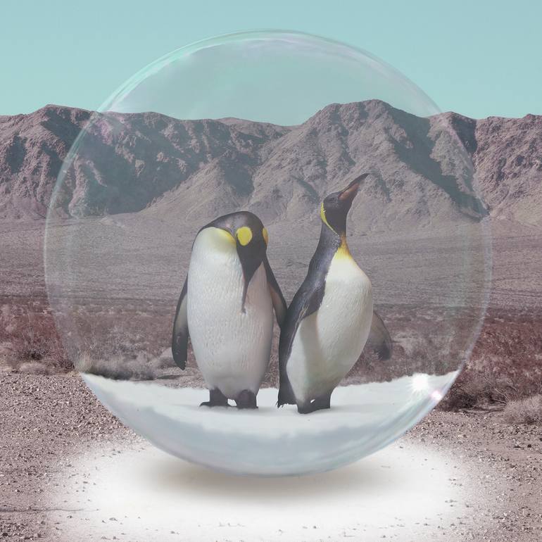 Original Abstract Animal Photography by Alejandro Aboli The Redline