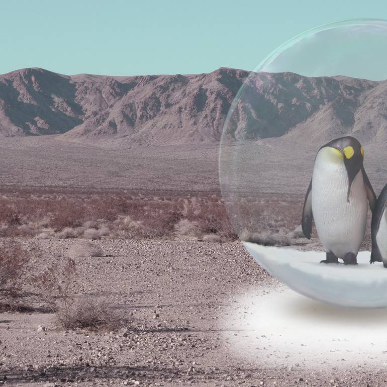 Original Abstract Animal Photography by Alejandro Aboli The Redline