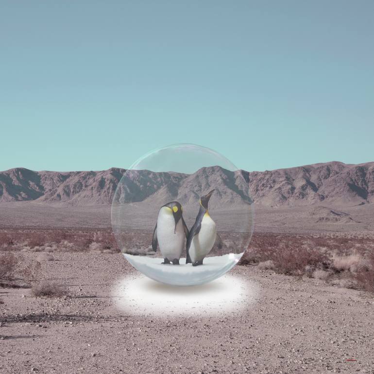 Original Abstract Animal Photography by Alejandro Aboli The Redline