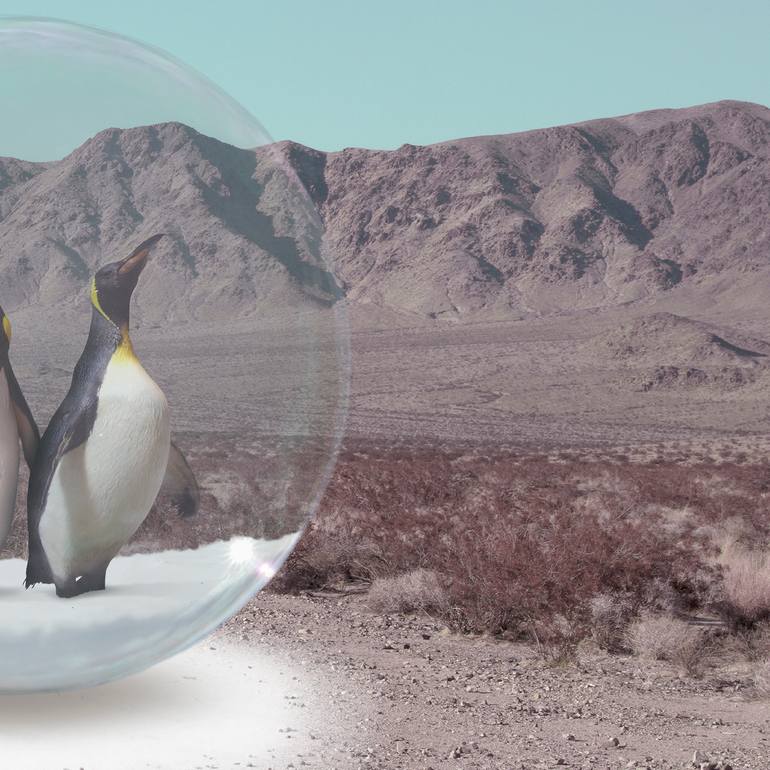 Original Abstract Animal Photography by Alejandro Aboli The Redline