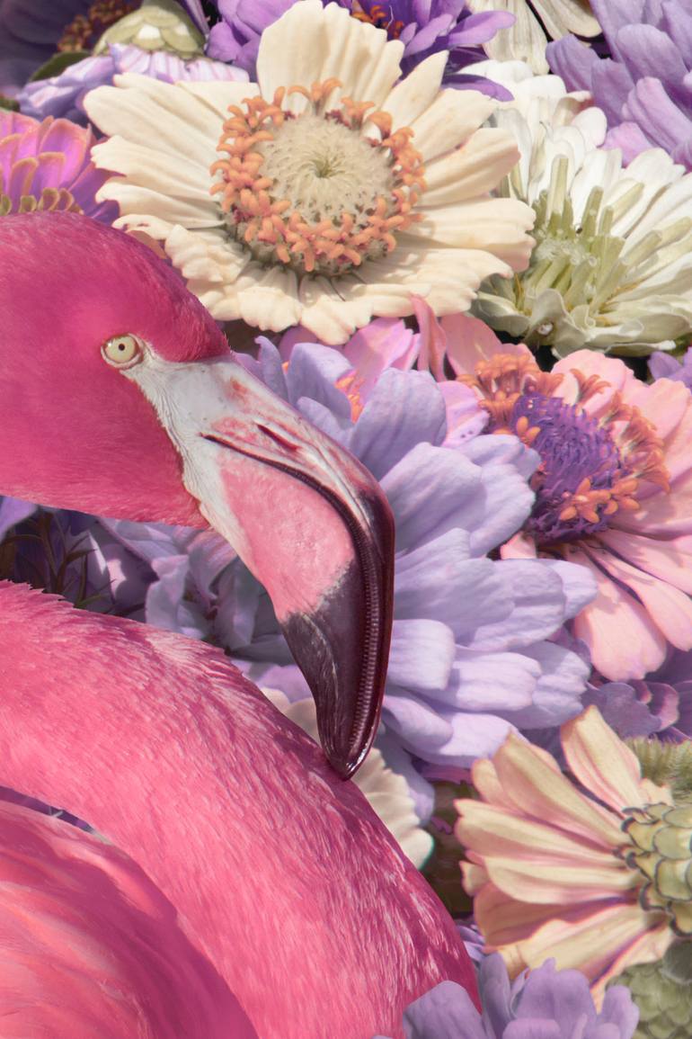 Original Abstract Animal Photography by Alejandro Aboli The Redline