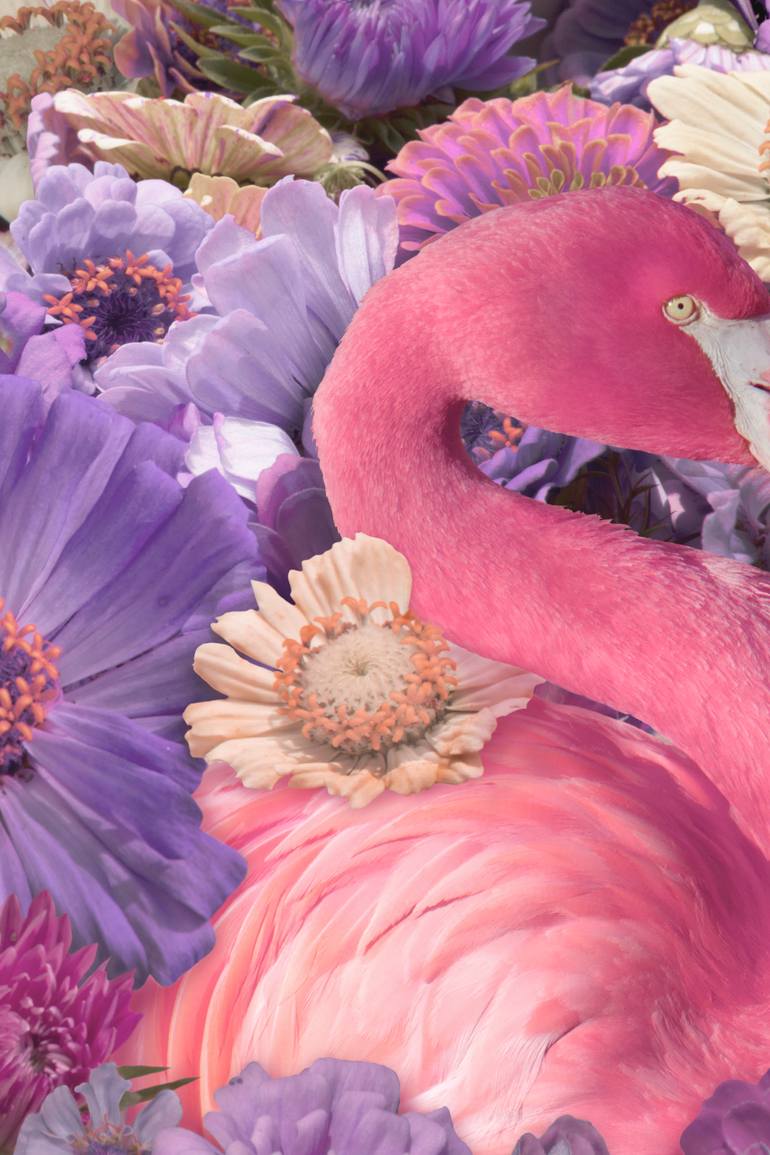 Original Abstract Animal Photography by Alejandro Aboli The Redline