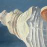 Conch Shell detail