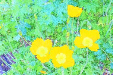 Print of Impressionism Botanic Photography by Katherine Erickson