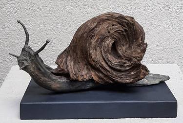 Driftwood Art - Snail thumb