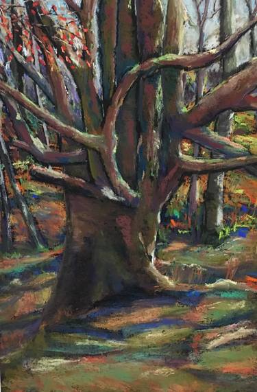 Original Tree Painting by Karen Harding