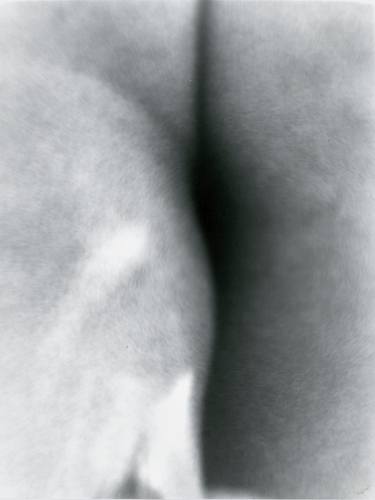 Print of Figurative Erotic Photography by Guillermo Simanavicius