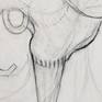 Woodthrush 3 - detail