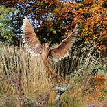 Icarus IX. by Nicola Godden