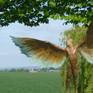Icarus bronze detail from front.