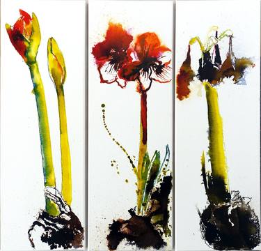 Amaryllis - budding, blooming, fading (Triptych) thumb