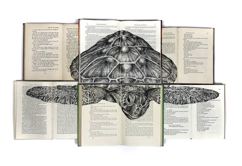 The Green Sea Turtle - Print