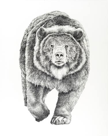 Original Fine Art Animal Drawings by Megan Serene