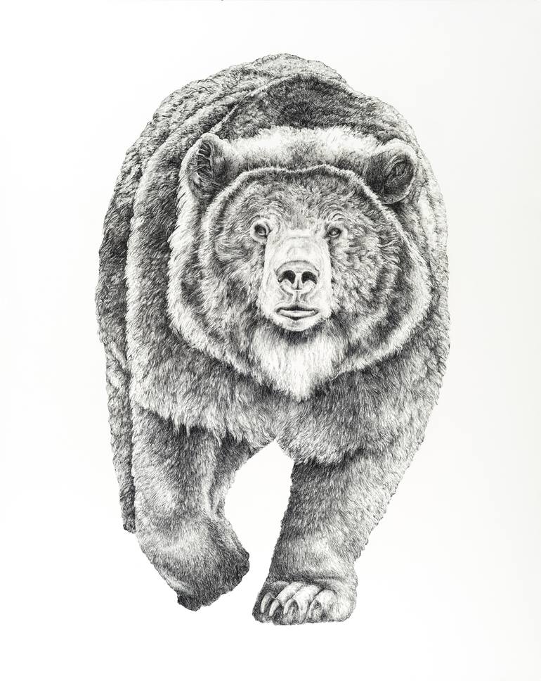 grizzly bear drawing realistic