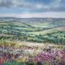 view additional image 1